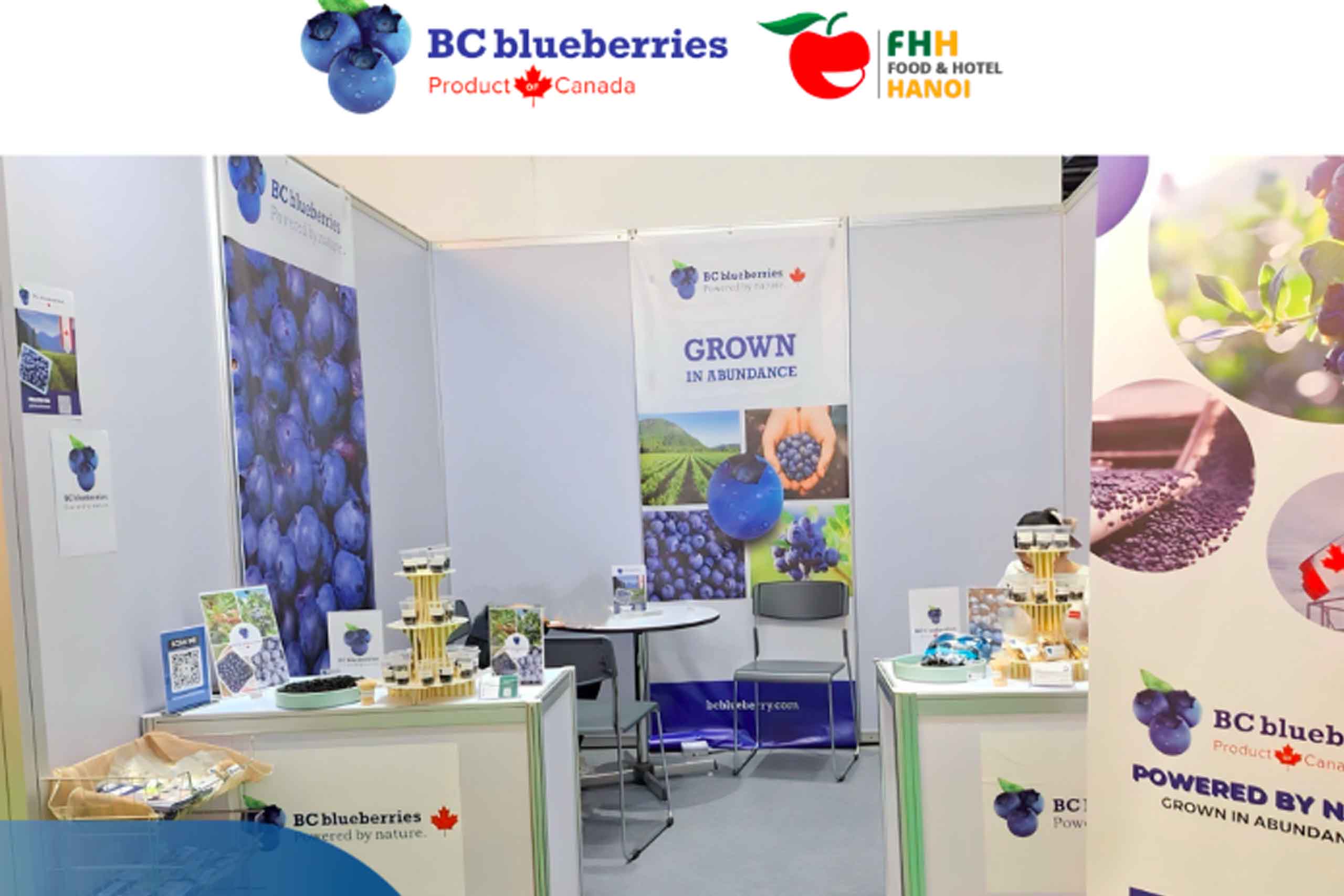 bc-blueberries-food-hotel-hanoi-2023